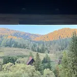 Georgiy * 奥尔亚维奇克